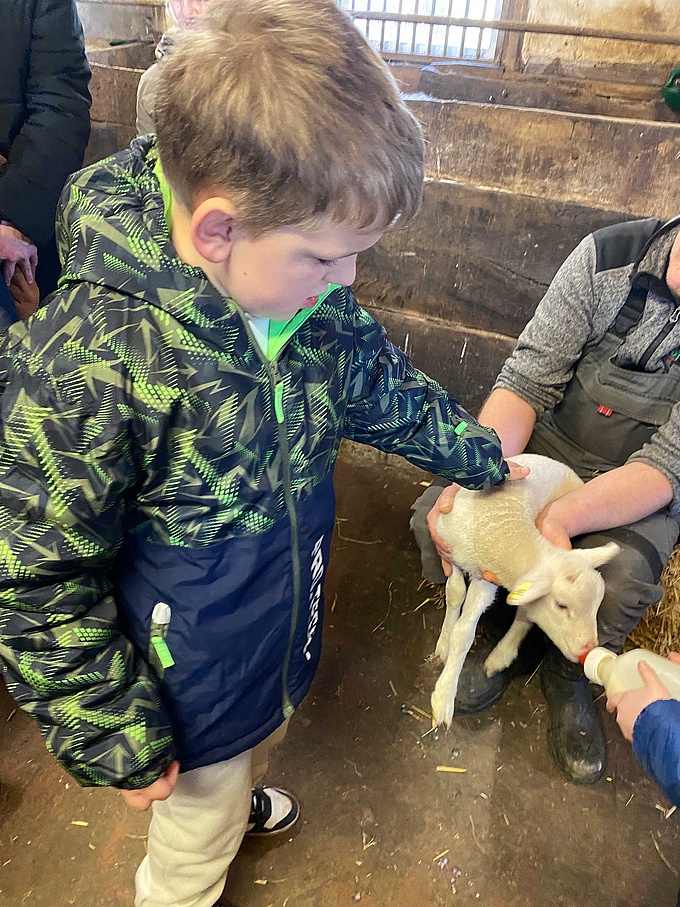 Ein Schüler streichelt ein Lämmchen.