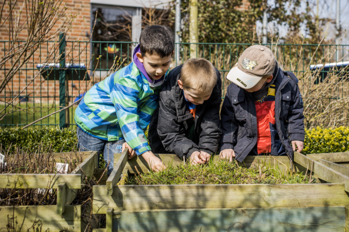 Drei Kinder stehen an einem Hochbeet und betrachten die Pflanzen.