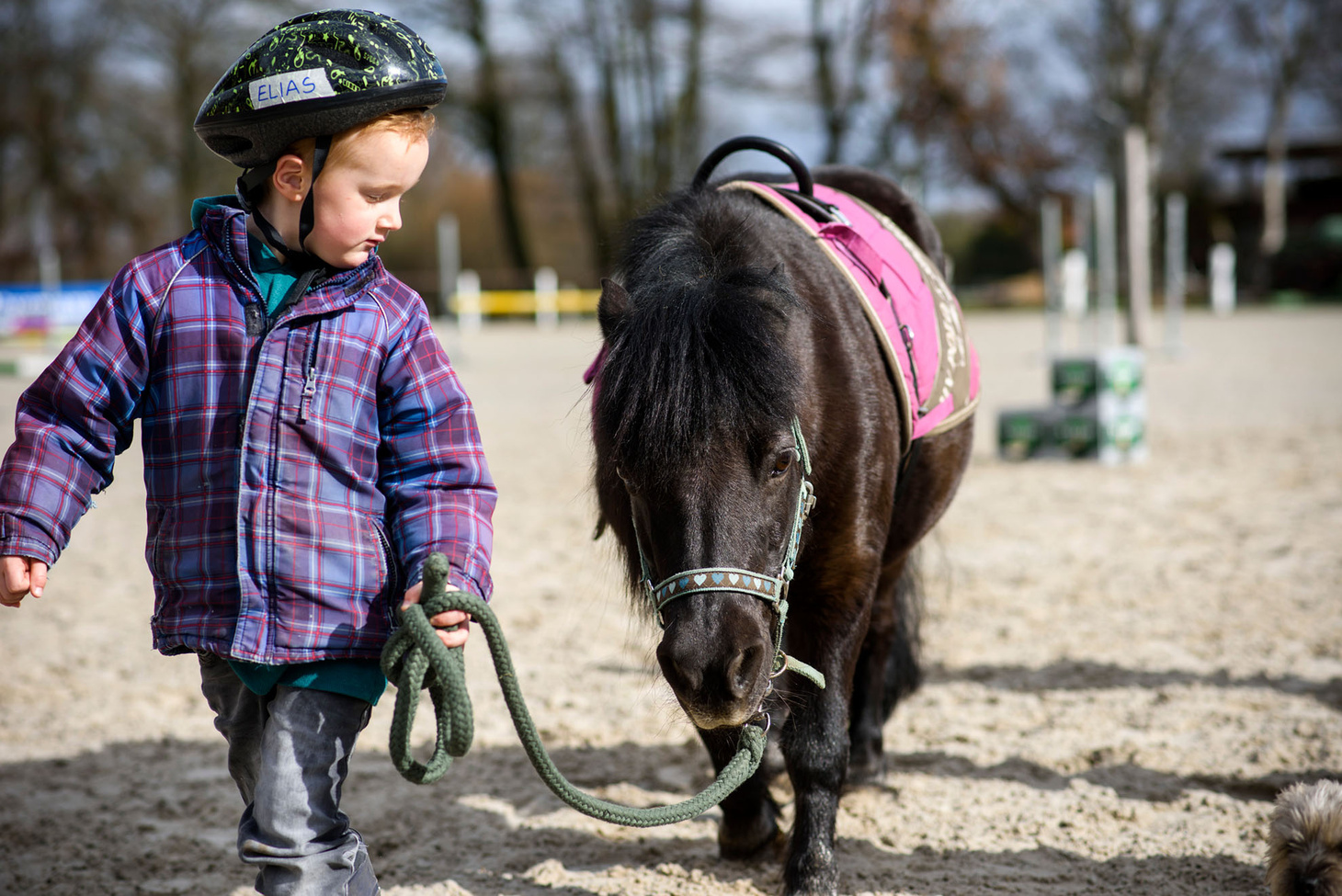 Kind führt ein Pony