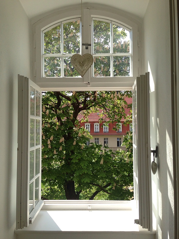 Blick durch ein Fenster ins Grüne.