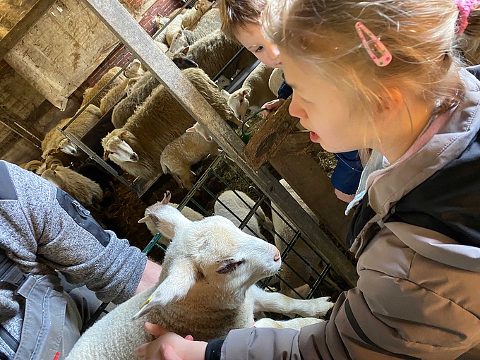 Eine Schülerin streichelt ein Lämmchen.